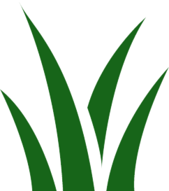 gazon icone verte