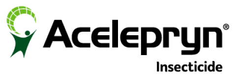 Acelepryn