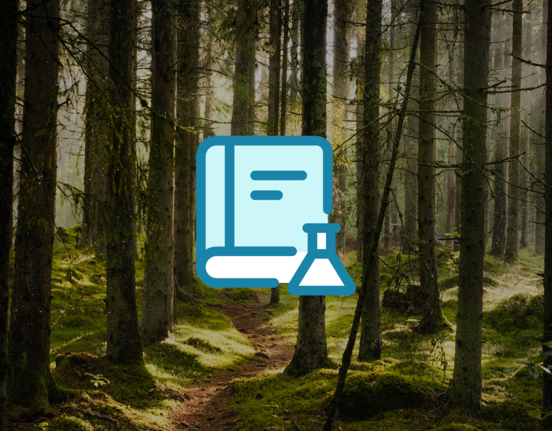 Knowledge Hub Forestry