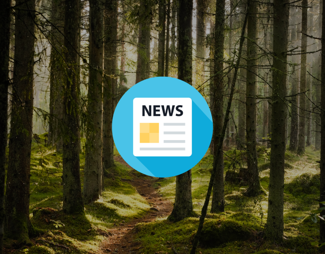 Media Icon Forestry