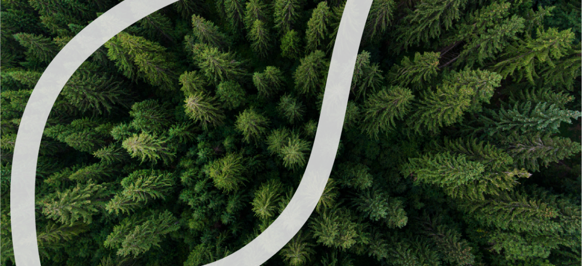 Banner Forestry+ Leaf