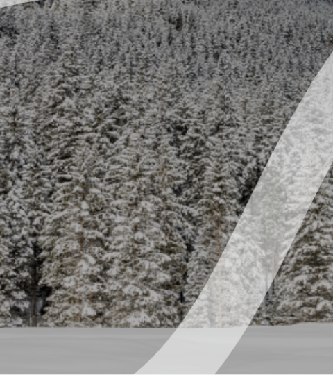 Snow-covered mountain forest with two wide white curved lines overlaying it