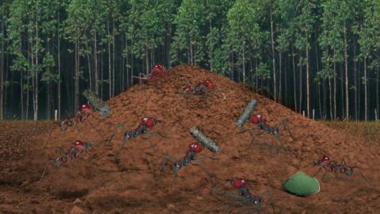 imagem-inovador-em-sua-essencia