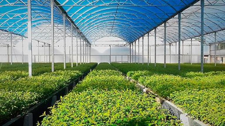 noticias_estresse_hidrico_usoracional_de_agua