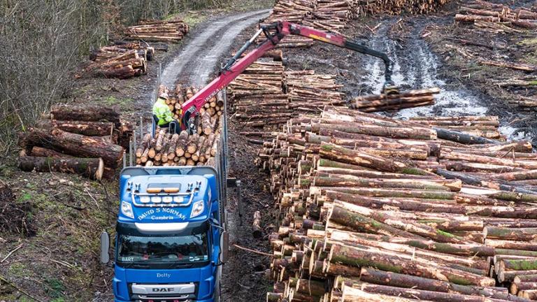 Timber harvesting