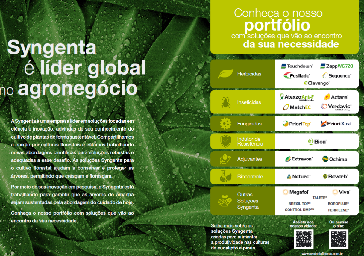 Catalogo 2025