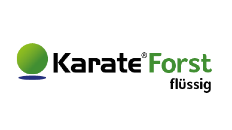 Karate Forst